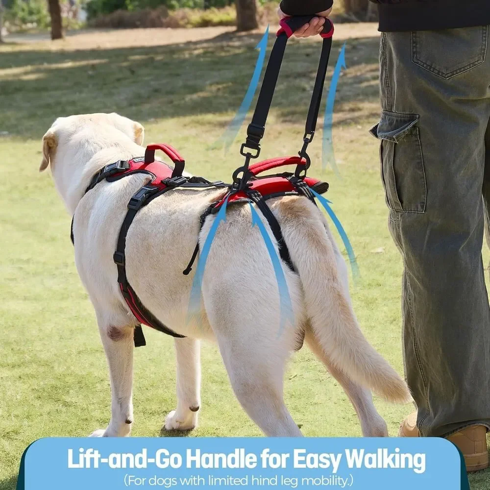 Lafoty Dog Lift Harness for Large Dogs, Full-Body Support Size Large, Red, New